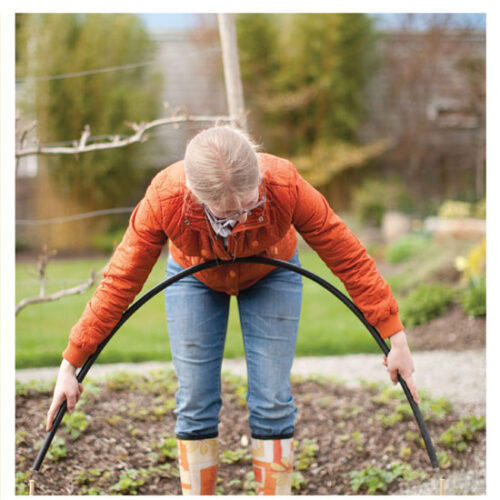 How to Build a Hoop House